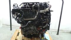 FORD FIESTA 1.6 TDCI KOMPLE MOTOR (HHJC)